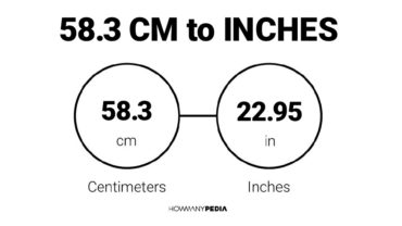 58.3 CM to Inches