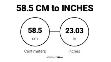 58.5 CM to Inches