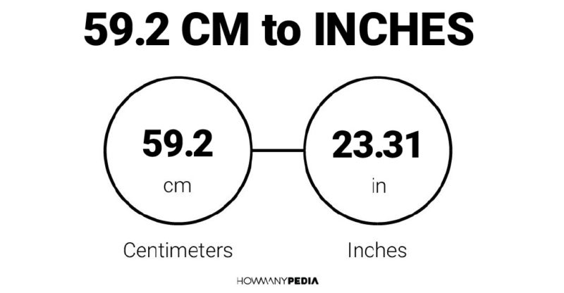 59.2 CM to Inches