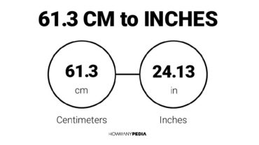 61.3 CM to Inches