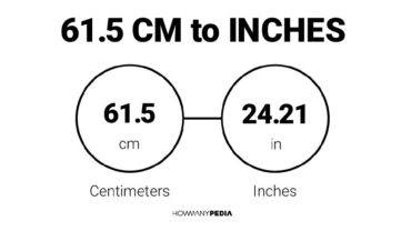 61.5 CM to Inches