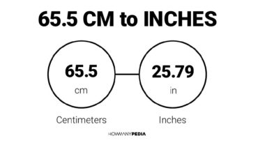 65.5 CM to Inches