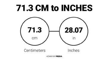 71.3 CM to Inches