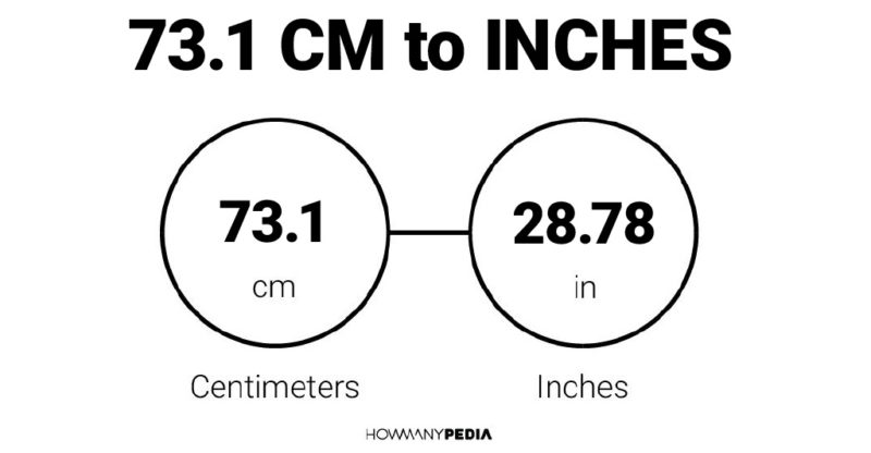 73.1 CM to Inches