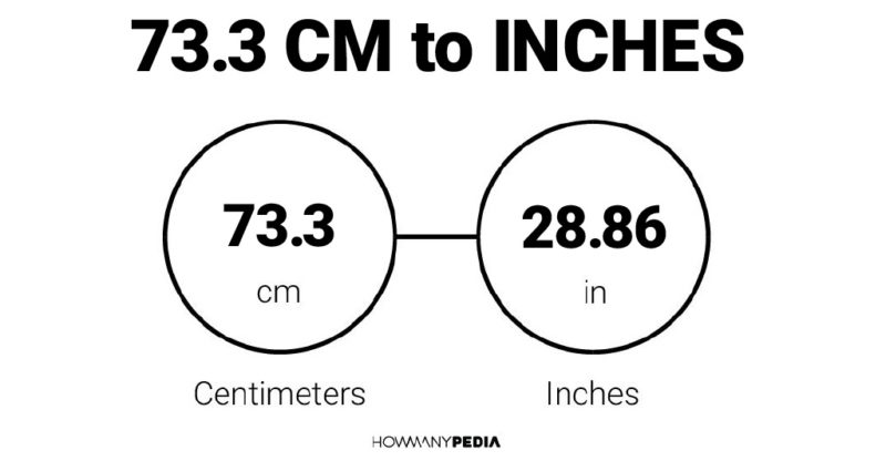 73.3 CM to Inches