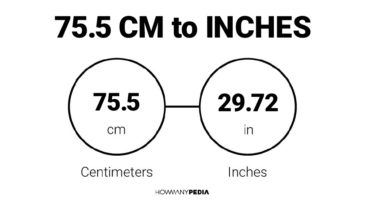 75.5 CM to Inches