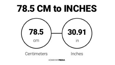 78.5 CM to Inches