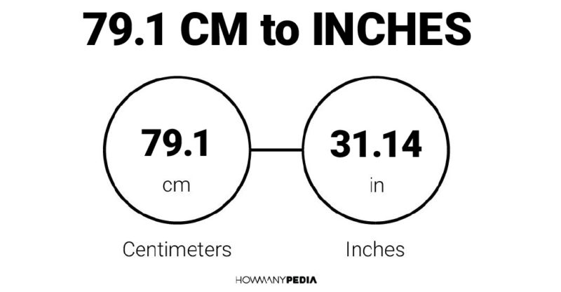 79.1 CM to Inches