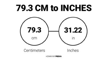 79.3 CM to Inches