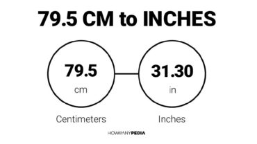 79.5 CM to Inches