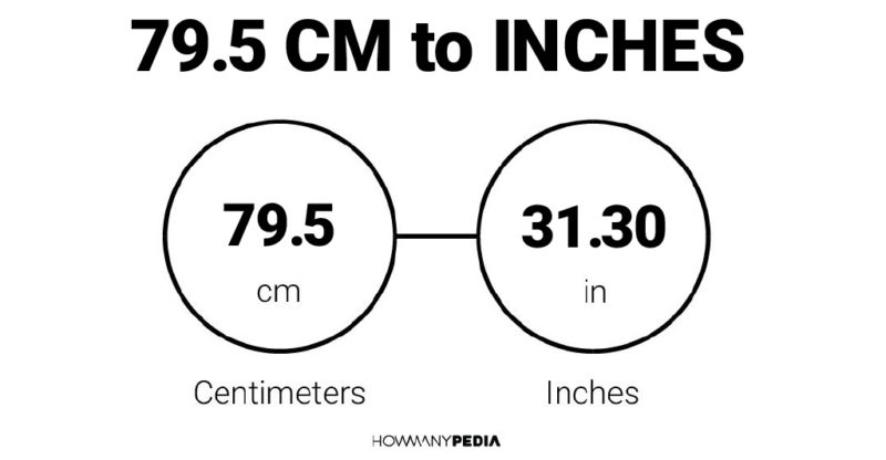 79.5 CM to Inches