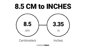 8.5 CM to Inches