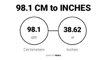 98.1 CM to Inches