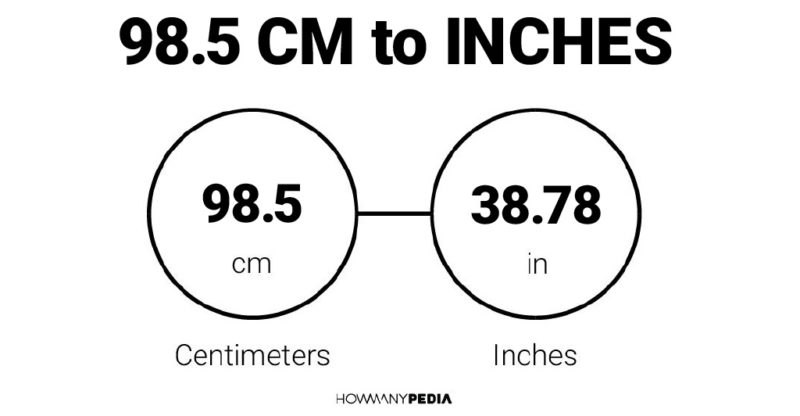 98.5 CM to Inches