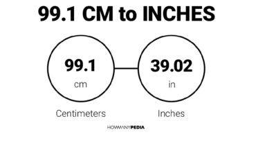 99.1 CM to Inches