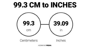 99.3 CM to Inches