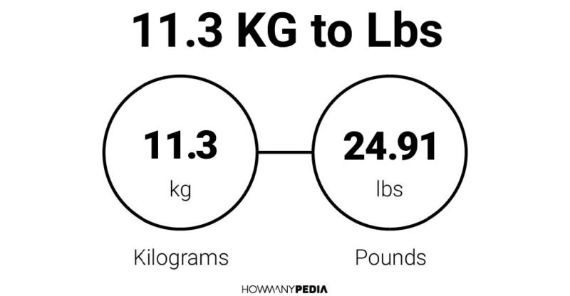 11.3 KG to Lbs