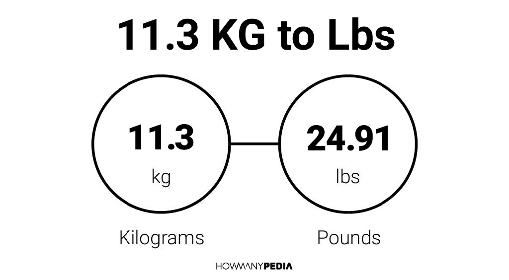 11.3 KG to Lbs - Howmanypedia.com