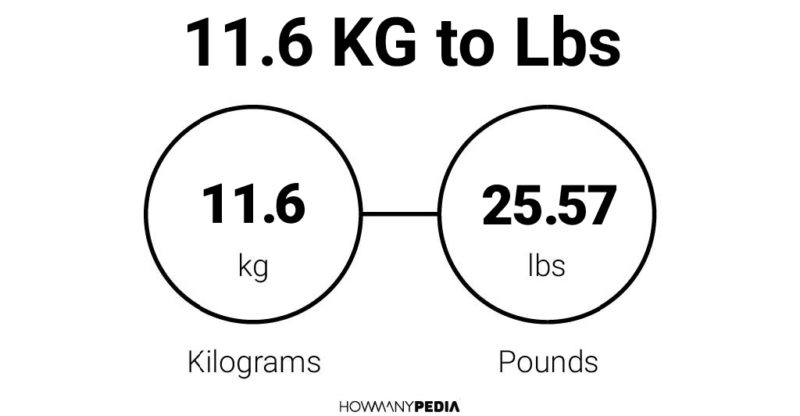 11.6 kg in on sale pounds