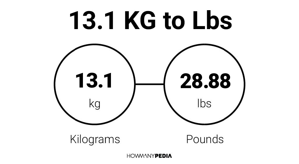 13.1 KG to Lbs - Howmanypedia.com