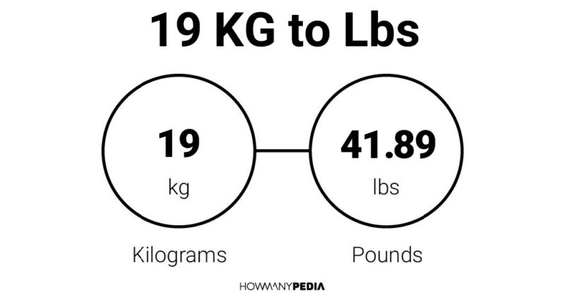 19 KG to Lbs