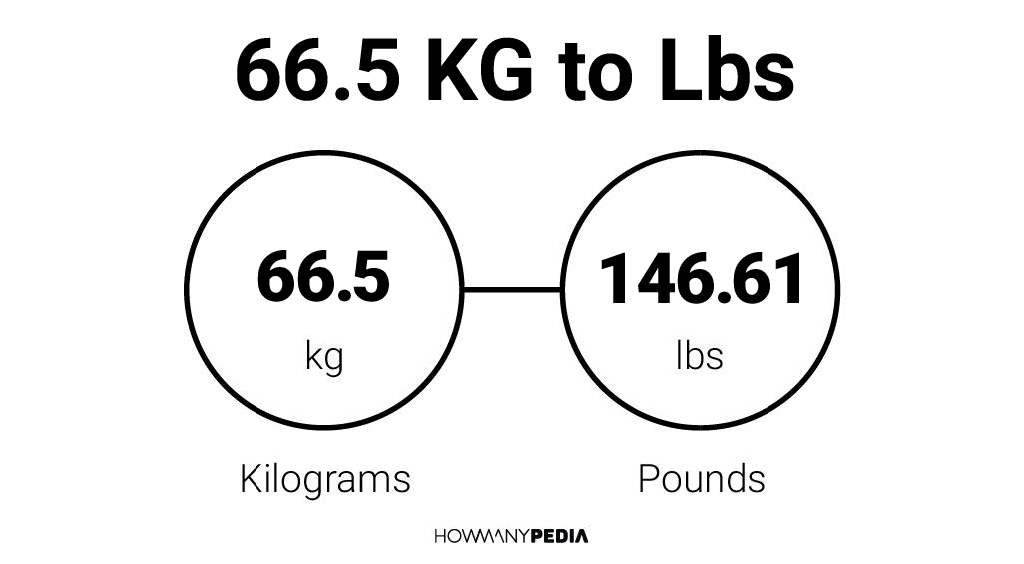 66-5-kg-to-lbs-howmanypedia