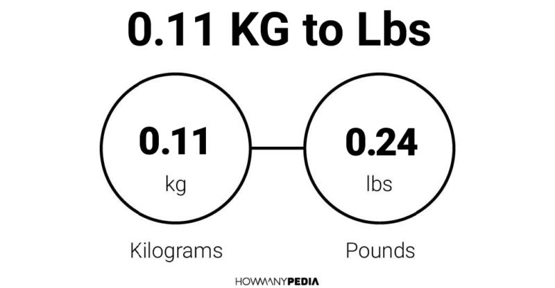 0.11 KG to Lbs – Howmanypedia.com