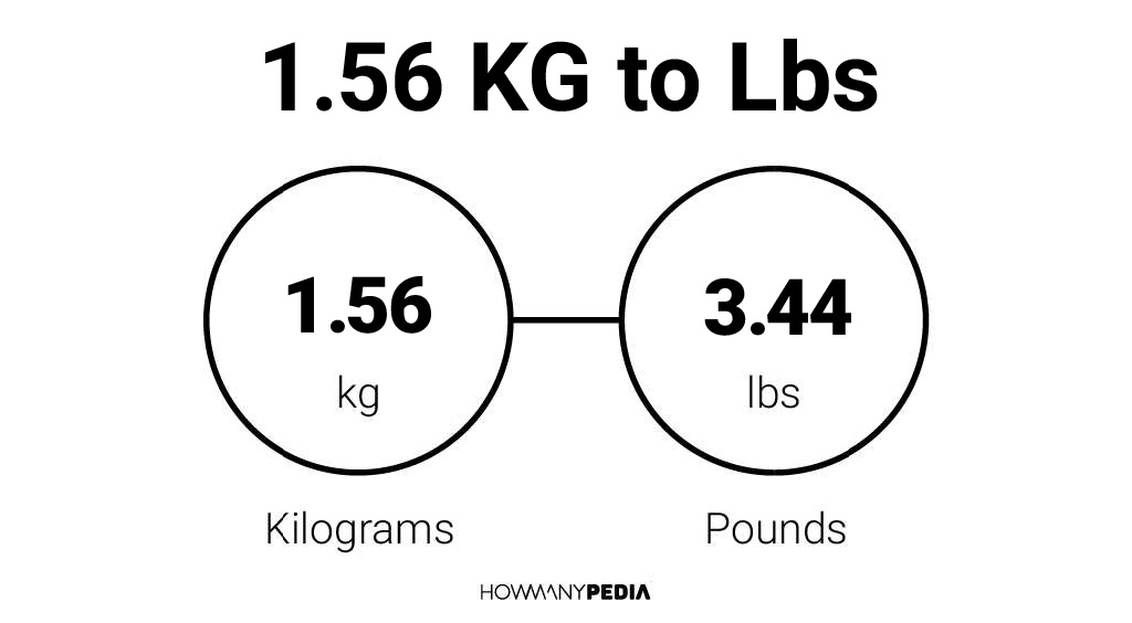 1-56-kg-to-lbs-howmanypedia