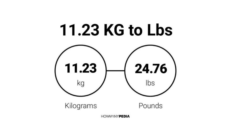 11-23-kg-to-lbs-howmanypedia