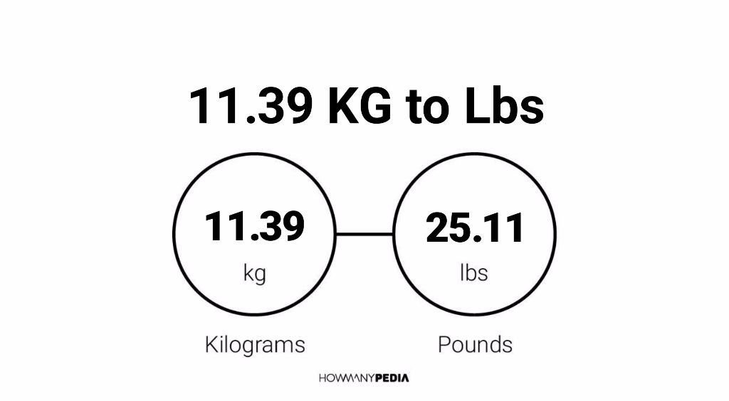 39 kg outlet lbs