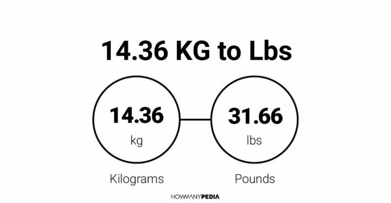 14-36-kg-to-lbs-howmanypedia