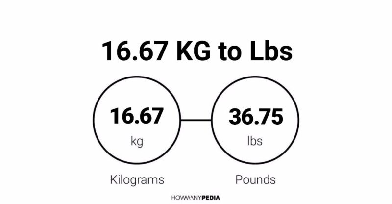 16-67-kg-to-lbs-howmanypedia