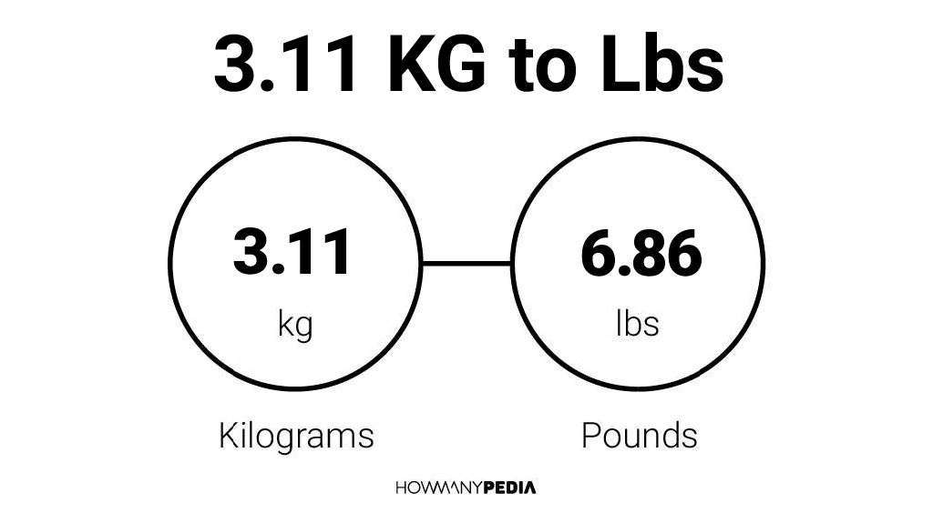 3.11 KG to Lbs – Howmanypedia.com