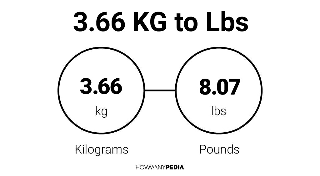 66 kilos 2025 in pounds