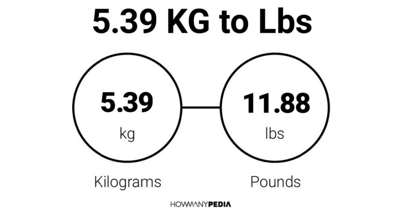 5-39-kg-to-lbs-howmanypedia