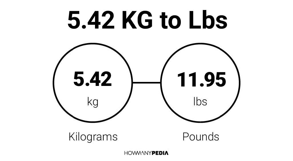 5-42-kg-to-lbs-howmanypedia