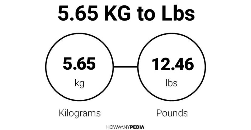 53 65 Kg In Lbs