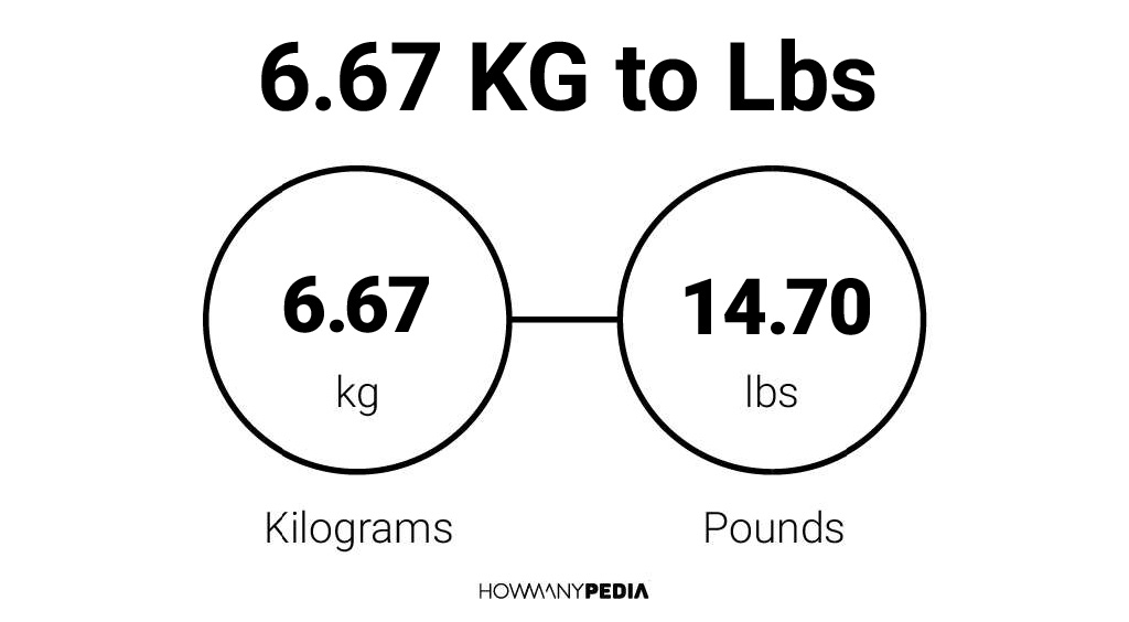 6-67-kg-to-lbs-howmanypedia