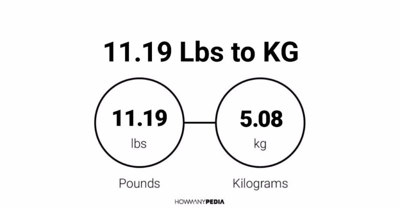 11.19 Lbs to KG