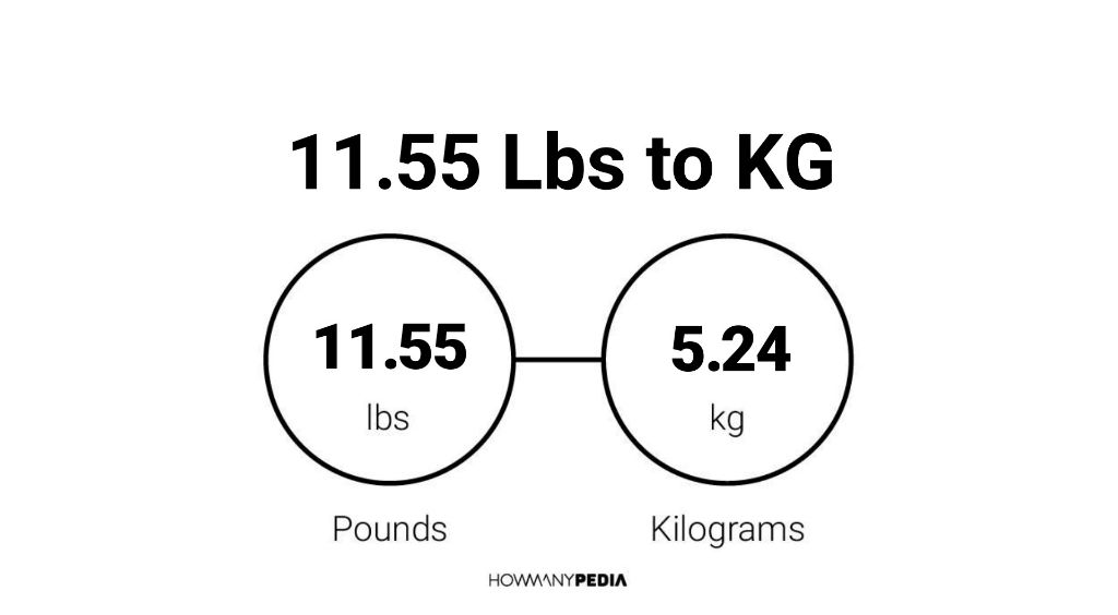 11-55-lbs-to-kg-howmanypedia