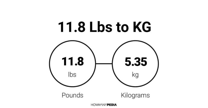 11 kg in outlet pounds