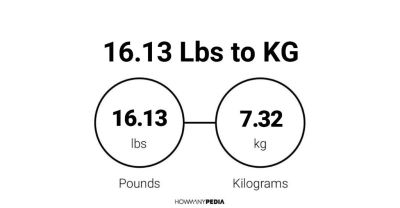 16-13-lbs-to-kg-howmanypedia