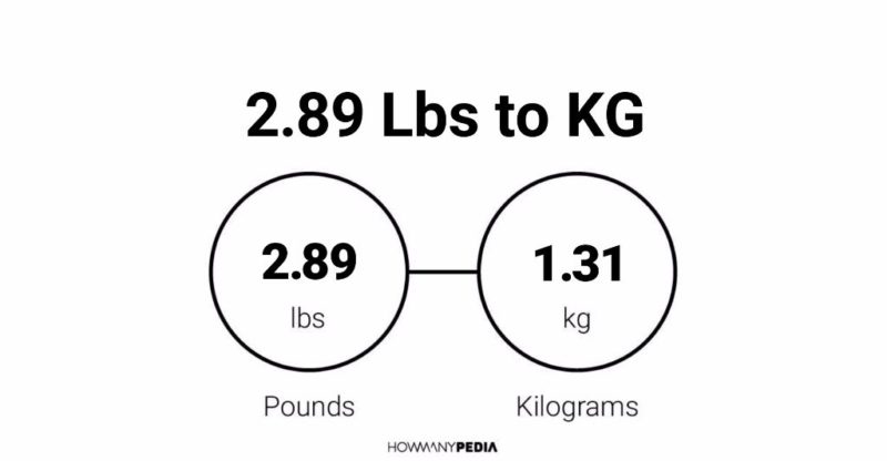 2.89 Lbs to KG