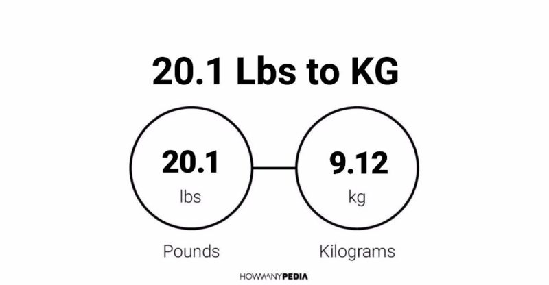 20.1 Lbs to KG