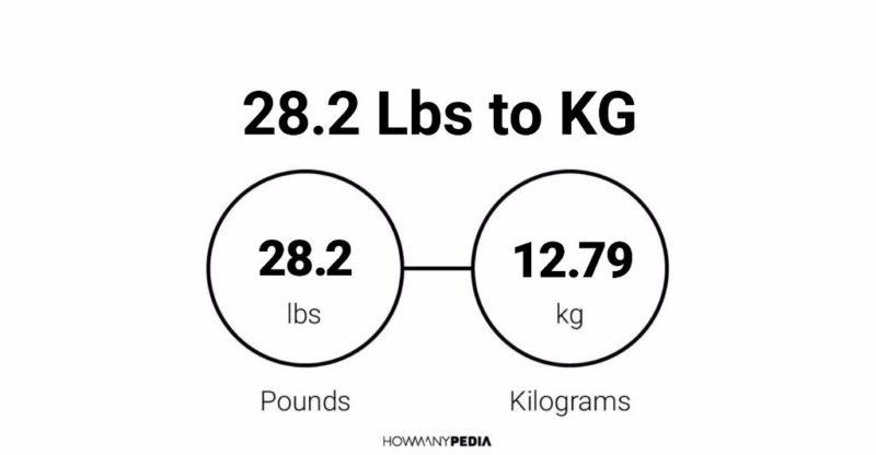 28 kg in outlet pounds