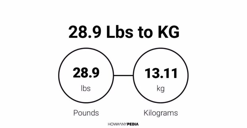 28.9 Lbs to KG