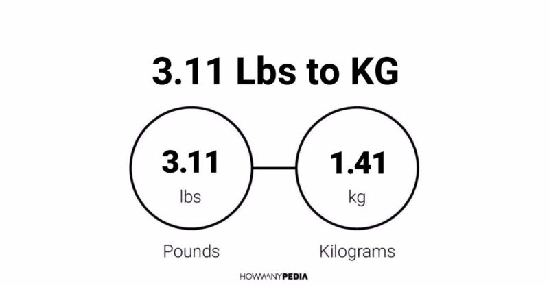 11 lbs 3 oz to kg