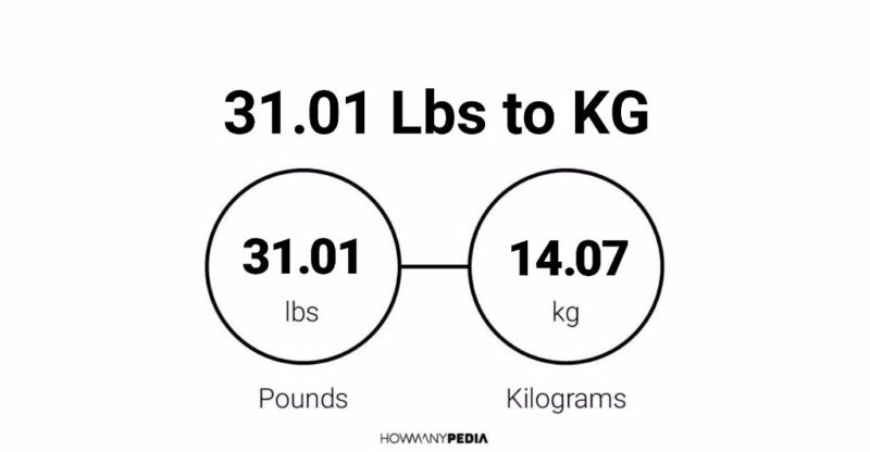 31.01 Lbs to KG