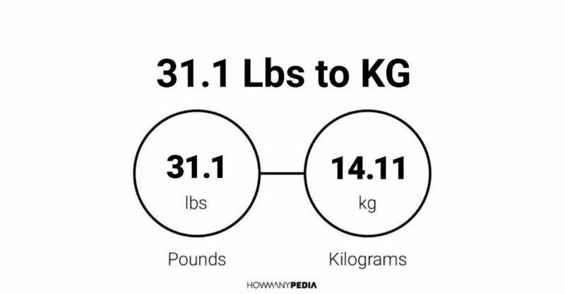 31.1 Lbs to KG