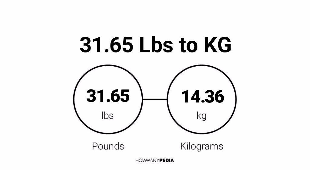 31-65-lbs-to-kg-howmanypedia